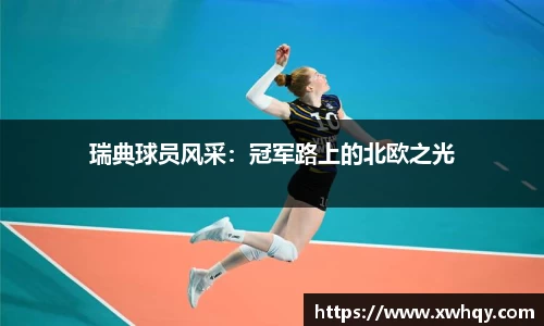 瑞典球员风采：冠军路上的北欧之光